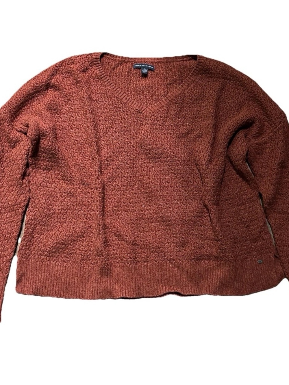 Women’s American Eagle Pumpkin V Neck Sweater Size Large